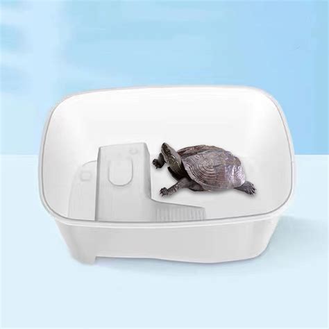 Buy Mightlink Stable Reptile Feeding Box with Basking Platform High ...