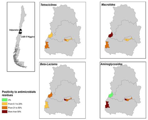Assessing Antibiotic Residues in Poultry Eggs from Backyard Production ...