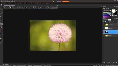 Corel PaintShop Tutorial 的图像结果