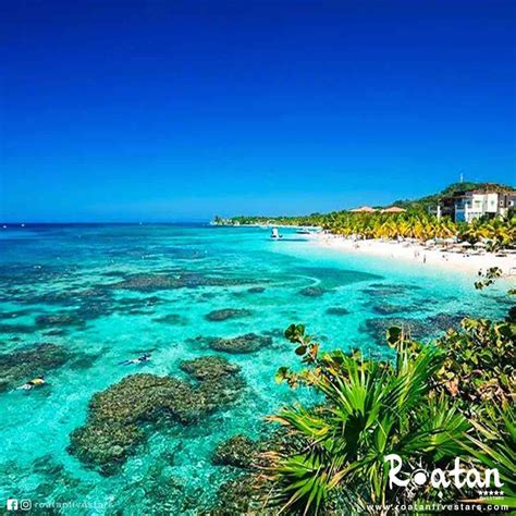 Roatan, white sand and turquoise water beaches | Roatan, Roatan island ...