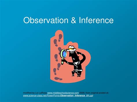 Inference Observation 的图像结果