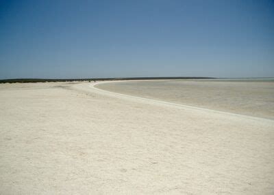 Image result for Shell Beach Wa