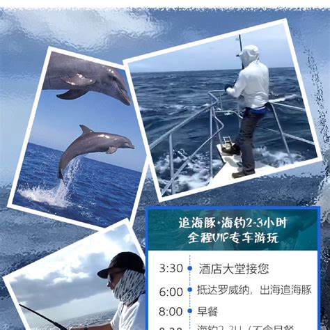 巴厘岛罗威纳海滩一日游【追海豚多睡半小时/鹿岛浮潜/Kuber ATV/Timbis】线路推荐【携程玩乐】