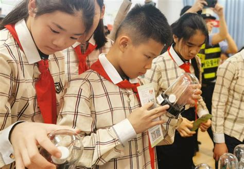 幼师等招聘可依法查吸毒记录最新素材