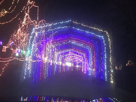 YOGI BEAR'S JELLYSTONE PARK (2026) All You Need to Know BEFORE You Go ...