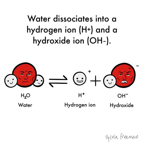 Image result for pH Level Basic Overview