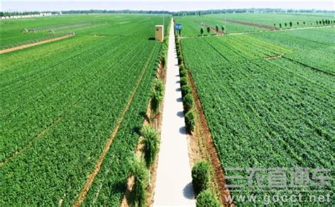 2019中国区域农业品牌发展论坛 - 中国品牌网