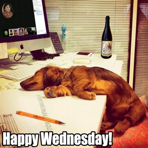 Happy Wednesday GIFs - 50 GIFs of Best Wednesday Wishes