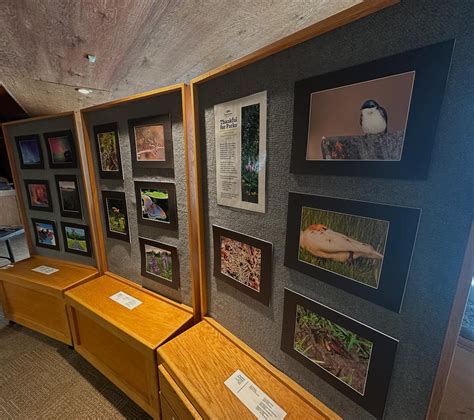 THE Lowry Nature Center (@lowrynaturecenter) • Instagram photos and videos