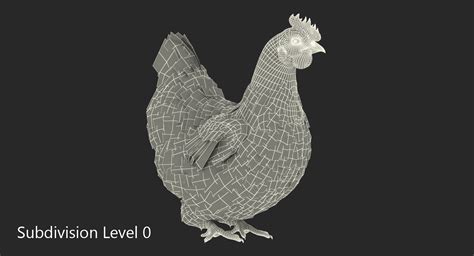 3D model Brown Chicken Siting Pose | 3D Molier International