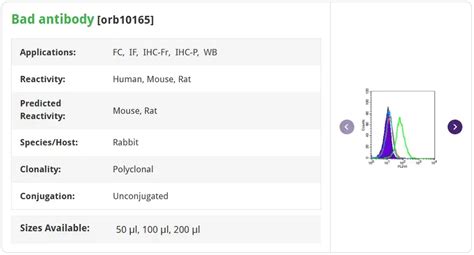 Bcf2 Structure 的图像结果