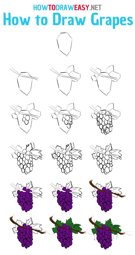 How To Draw Grapes In Easy Way at Amelia Rodrigues blog