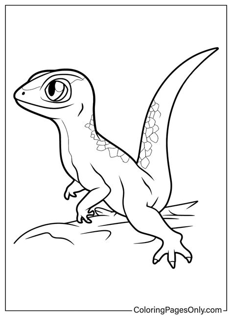 71 Lizard Coloring Pages - ColoringPagesOnly.com