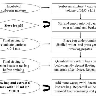 Image result for Anion Exchange Example