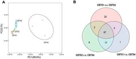 Disentangling the Potential Functions of miRNAs in the Synthesis of ...