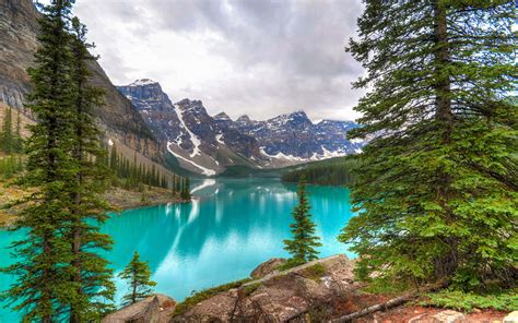 Download Banff National Park Forest Wallpaper | Wallpapers.com