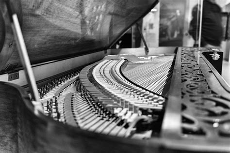 Image result for Beautiful Musical Instruments