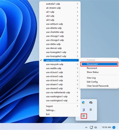 Image result for How to Using OpenVPN
