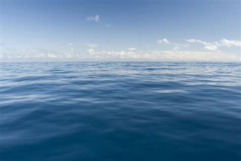 Image result for Ocean Sound Machine