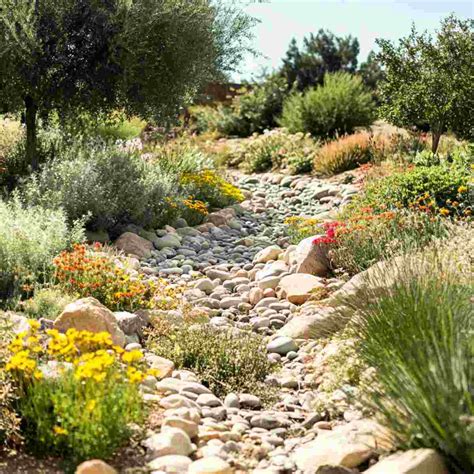 10 Easy & Stylish Dry River Bed Landscaping Ideas You’ll Love