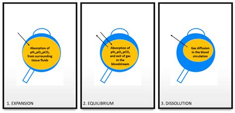 Vitreous Substitutes from Bench to the Operating Room in a ...