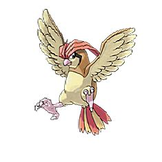 Image result for Pidgeotto Evolution Levels