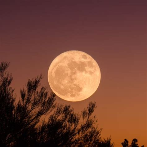 Chinese numerology calculator: A guide to finding your lucky number