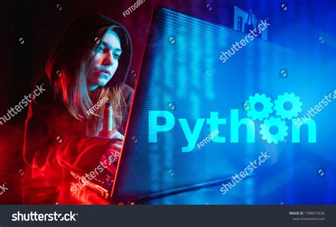 Image result for Python Coding Computer Engineer
