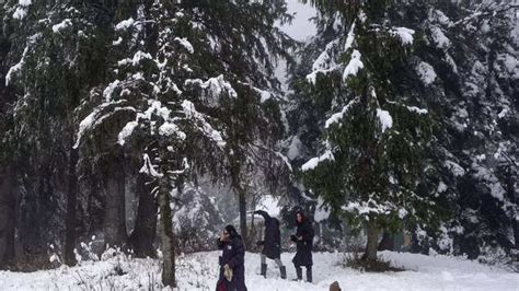 Fresh snowfall in Kashmir; Gulmarg turns heavenly, Jammu And Kashmir ...