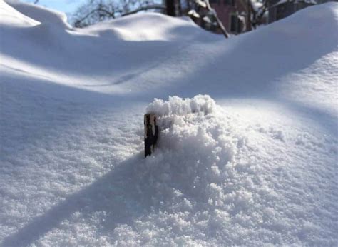 Snowman Measuring Stick 的图像结果