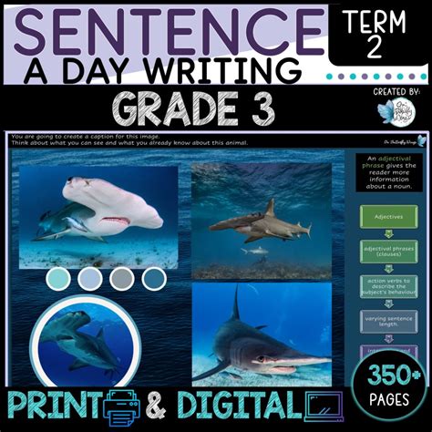 Image result for 3rd Grade Writing Topic Sentence