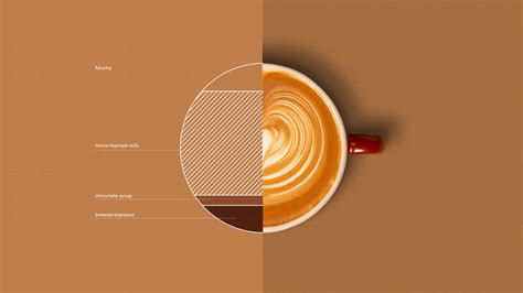 Image result for Mocha CS6 Tutorial