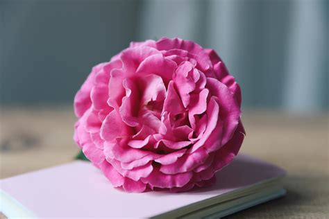 Java and Spring Background Images 的图像结果