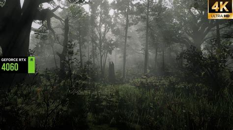 Image result for RDR2 Environment