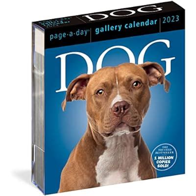 Buy Dog Page-A-Day Gallery Calendar 2023 Calendar – Day to Day Calendar ...