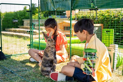 Are rabbits good pets for children? - Omlet Blog UK
