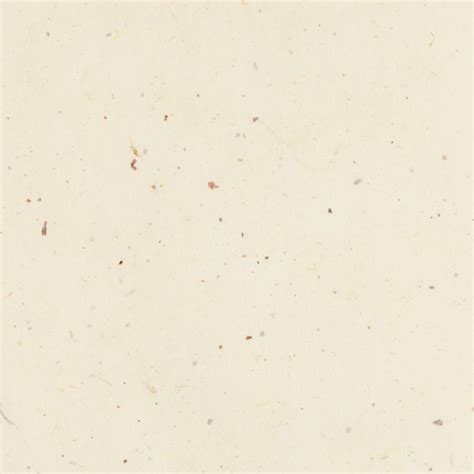 Blank beige background text space | Free Photo