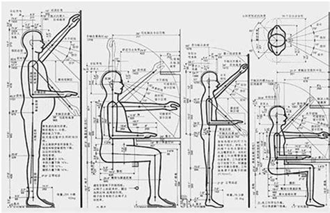人体工程学在办公家具功能设计中的妙用 - 行业新闻 - 重庆艾伟诺家具有限公司
