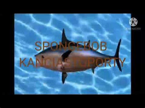 Image result for Spongebob Intro Polish