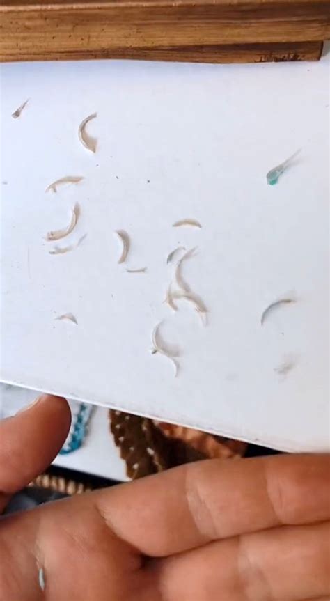 I make nearly $10K a month selling my toenail clippings