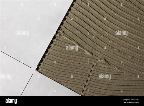 Image result for Lash Leveling Clips