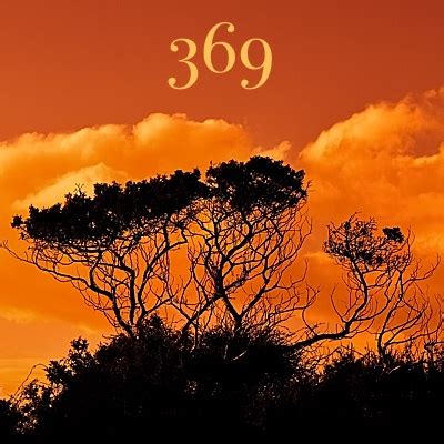 369是什么意思 369是哪里人 - 圈外100