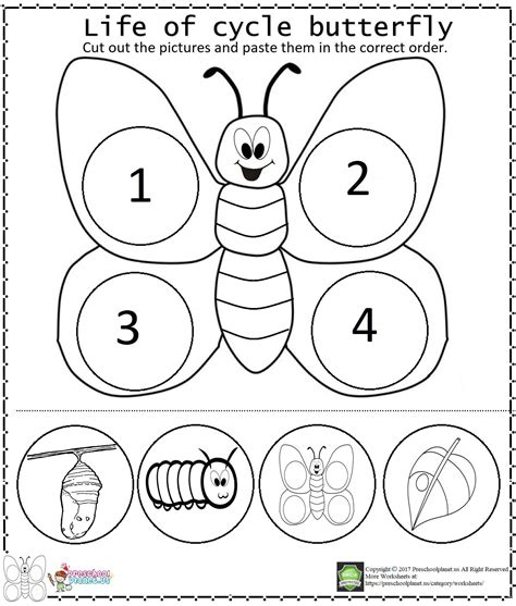 Life Of Cycle Butterfly Worksheet | Butterfly life cycle preschool ...