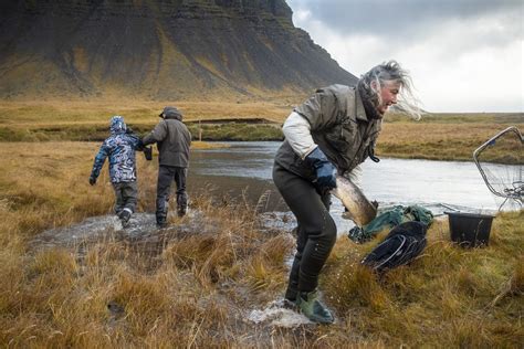 80,000 Farmed Salmon Unaccounted For