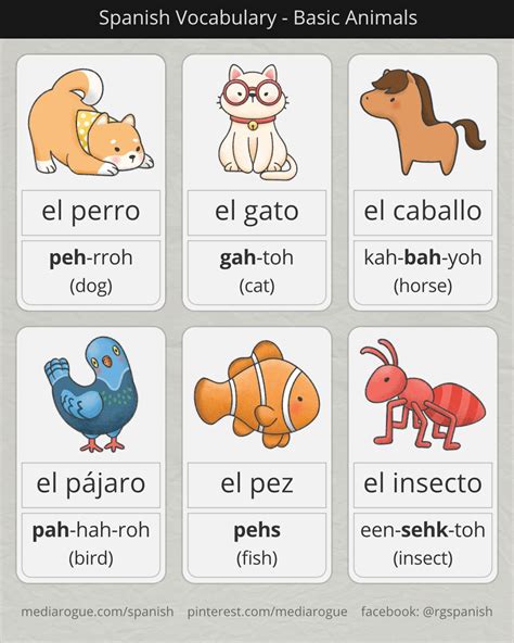 How To Say Cat On Spanish at Earnest Cortney blog