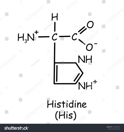 Histidine Amino Acid Structure
