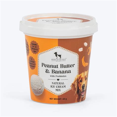 HUFT Peanut Butter & Banana with Prebiotics Natural Ice Cream for Dogs ...