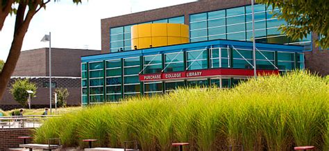 Purchase College Library Database 的图像结果