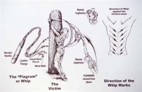 Cat Of Nine Tails In The Bible - Eternal Bible