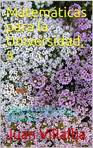 Matemáticas para la Universidad, 5: .DERIVADAS (SIGNIFICADO Y OBTENCIÓN ...